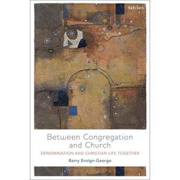 Between Congregation and Church - Barry A Ensign-George, editura Watkins Publishing