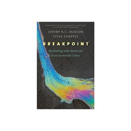Breakpoint, editura Macmillan Children&#039;s Books