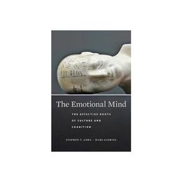 Emotional Mind, editura Harvard University Press