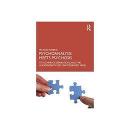 Psychoanalysis Meets Psychosis, editura Taylor &amp; Francis