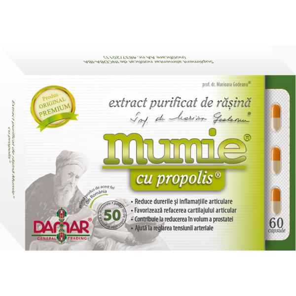 Extract Purificat de Rasina Mumie cu Propolis Damar General, 60 capsule