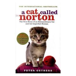 Cat Called Norton - Peter Gethers