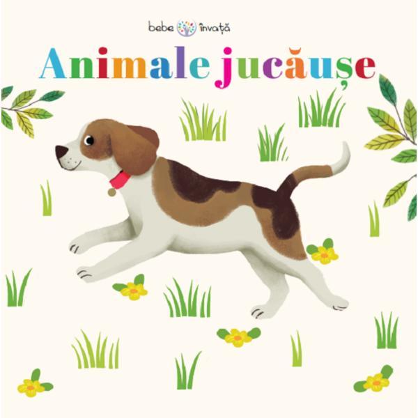 Animale jucause. Puzzle, editura Litera