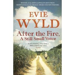 After the Fire, A Still Small Voice - Evie Wyld, editura Galison More Than Book