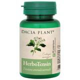 Herbotensin Dacia Plant, 60 comprimate