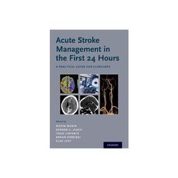 Acute Stroke Management in the First 24 Hours - Maxim Mokin, editura Rebellion Publishing