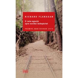 O cale ingusta spre nordul indepartat - Richard Flanagan, editura Litera