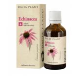 Tinctura Echinacea Dacia Plant, 50ml