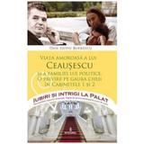 Iubiri si intrigi la palat Vol. 8: Viata amoroasa a lui Ceausescu si a familiei lui politice - Dan-Silviu Boerescu, editura Integral