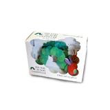 Very Hungry Caterpillar - Eric Carle, editura Penguin Group