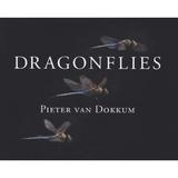 Dragonflies - Pieter Van Dokkum, editura Yale University Press Academic