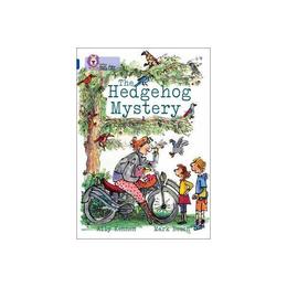 Hedgehog Mystery - Ally Kennen, editura Amberley Publishing Local