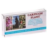 Supozitoare Carpicon Plant Elzin Plant, 10 buc x 1g