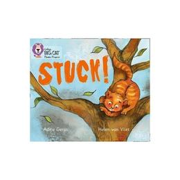 Stuck! - Adele Geras, editura Amberley Publishing Local