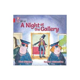 Night at the Gallery - Paul Shipton, editura Amberley Publishing Local