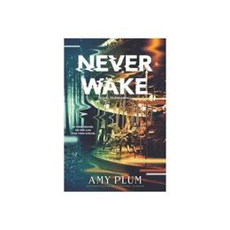 Neverwake - Amy Plum, editura The Stationery Office Books