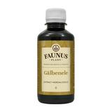 Tinctura de Galbenele Faunus Plant, 200 ml