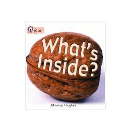 What's Inside? - Monica Hughes, editura Amberley Publishing Local