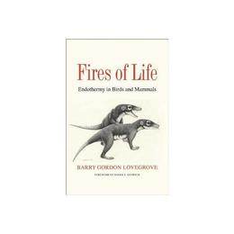 Fires of Life - Barry Gordon Lovegrove, editura Oni Press