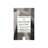 Calculus Gallery -  Dunham, editura Rebellion Publishing