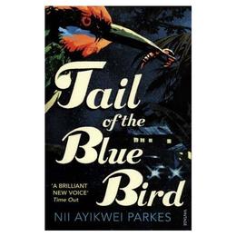 Tail of the Blue Bird - Nii Ayikwei Parkes, editura Amberley Publishing Local