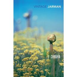 Chroma - Derek Jarman, editura Directory Of Social Change