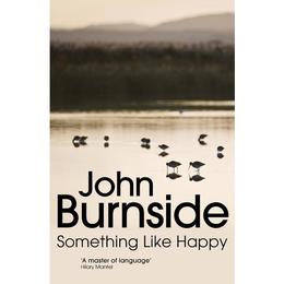 Something Like Happy - John Burnside, editura Amberley Publishing Local