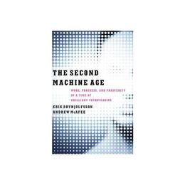 Second Machine Age, editura W W Norton & Co