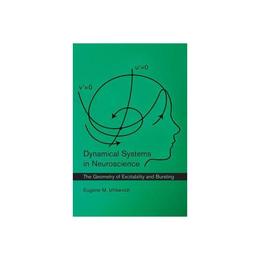 Dynamical Systems in Neuroscience
