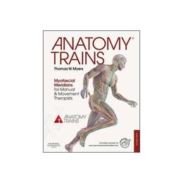 Anatomy Trains