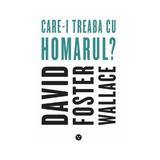 Care-i treaba cu homarul? - David Foster Wallace, editura Black Button Books