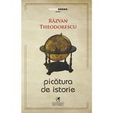Picatura de istorie - Razvan Theodorescu, editura Cartea Romaneasca