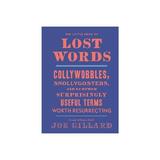 Little Book of Lost Words - Joe Gillard, editura Dc Comics