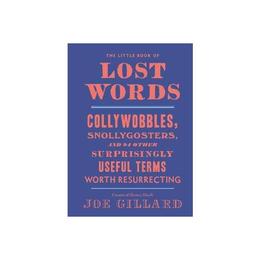 Little Book of Lost Words - Joe Gillard, editura Dc Comics