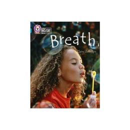 Breath - Claire Llewellyn, editura Amberley Publishing Local