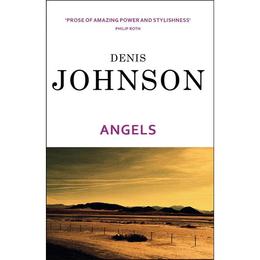 Angels - Denis Johnson, editura Amberley Publishing Local