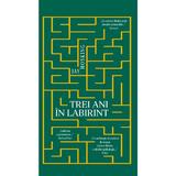 Trei ani in labirint - Jay Hosking, editura Rao