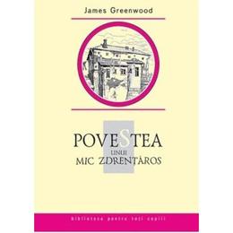 Povestea unui mic Zdrentaros - James Greenwood, editura Prut