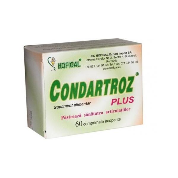 Condartroz Plus Hofigal, 60 comprimate