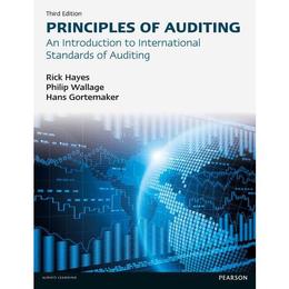 Principles of Auditing - Rick Hayes, editura Ladybird Books