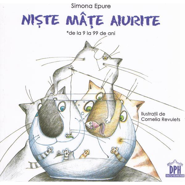 Niste mate aiurite - Simona Epure, editura Didactica Publishing House