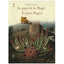 In tara magiei. Au pays de la magie - Henri Michaux, editura Grupul Editorial Art