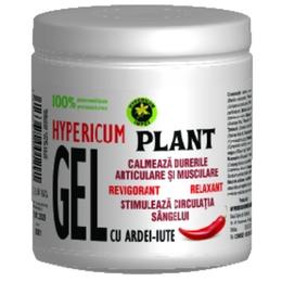 Gel cu Ardei Iute Hypericum, 500ml