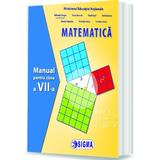 Matematica - Clasa 7 - Manual - Mihaela Singer, editura Sigma