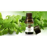 ulei-aromatic-menta-organique-7-ml-3.jpg