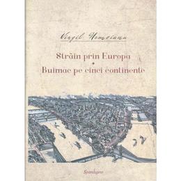 Strain prin Europa. Buimac pe cinci continente - Virgil Nemoianu, editura Spandugino