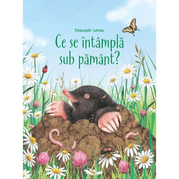 Descopar lumea. Ce se intampla sub pamant? - Emily Bone, editura Univers Enciclopedic