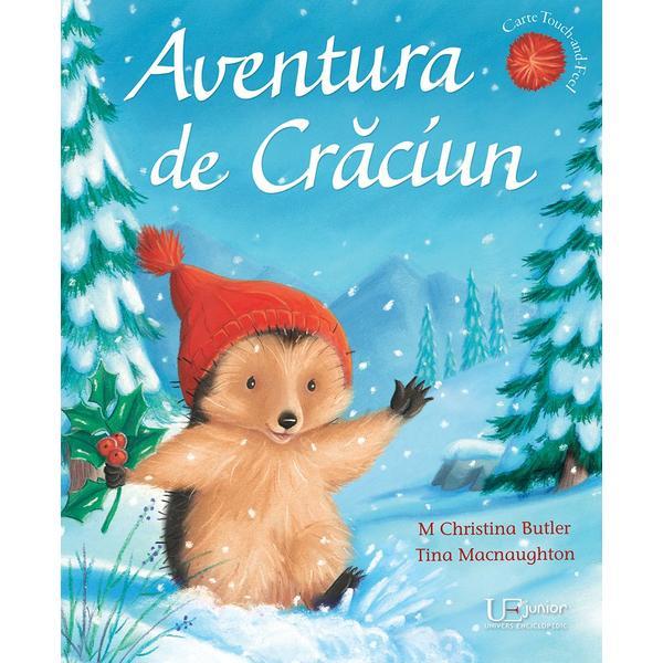 Aventura de Craciun - M. Christina Butler, Tina Macnaughton, editura Univers Enciclopedic