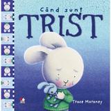 Cand sunt trist - Trace Moroney, editura Litera