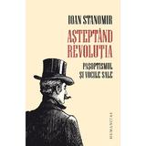 Asteptand revolutia - Ioan Stanomir, editura Humanitas